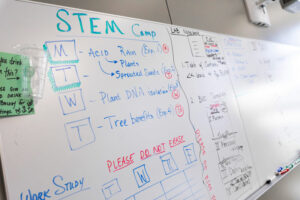 Whiteboard