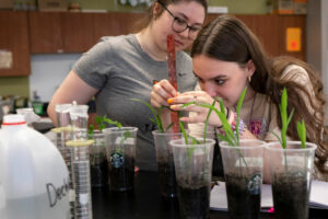 Students working in the biology lab