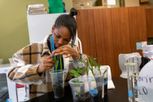 Students working in the biology lab