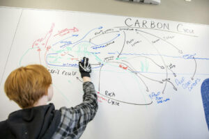 Student drawing the carbon cycle on a white board