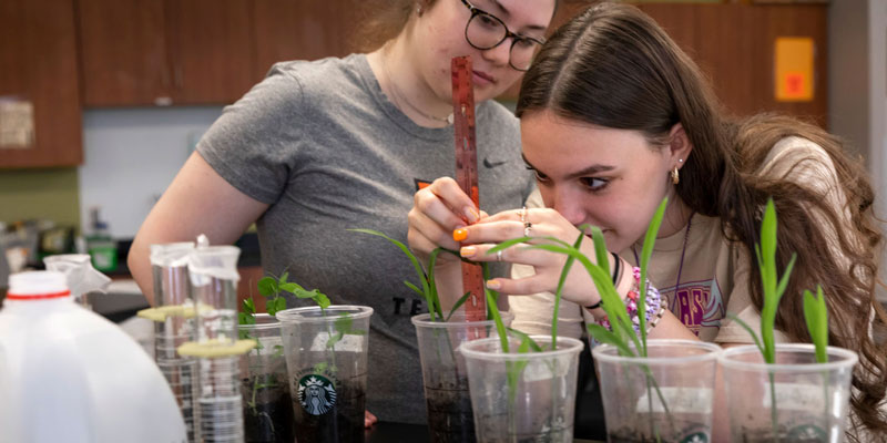 High School Stem Camp students in biology class