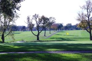 Trail winding through the green grass and slopes of the Donald Ross Golf Course on a beautiful day