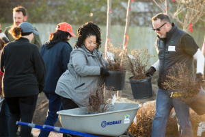 Students, Faculty and Staff helping Habitat for Humanity