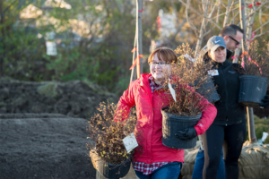 Students, Faculty and Staff helping Habitat for Humanity