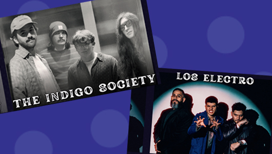 middle waves music festival promo image