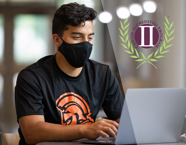 Student studying on a computer